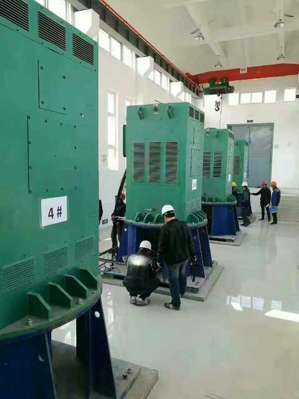Y5602-12某污水处理厂使用我厂的立式高压电机安装现场