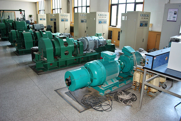 Y5602-12某热电厂使用我厂的YKK高压电机提供动力