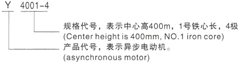 西安泰富西玛Y系列(H355-1000)高压Y5602-12三相异步电机型号说明