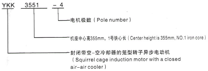 YKK系列(H355-1000)高压Y5602-12三相异步电机西安泰富西玛电机型号说明