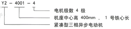 YR系列(H355-1000)高压Y5602-12三相异步电机西安西玛电机型号说明